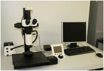Microscope