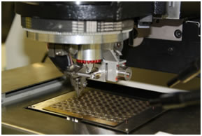 Head of auto wire bonder