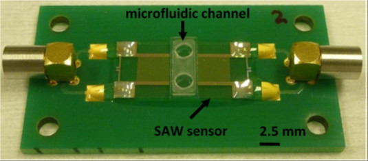 Biobactil final prototype