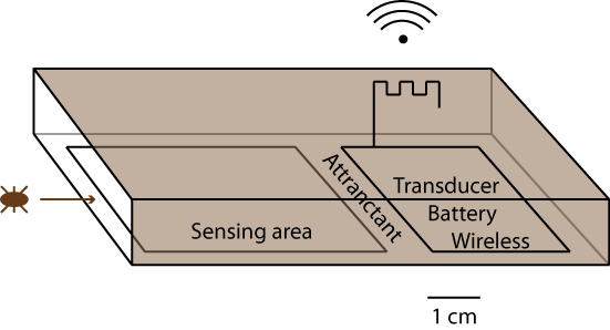 Insect detection system schematic overview